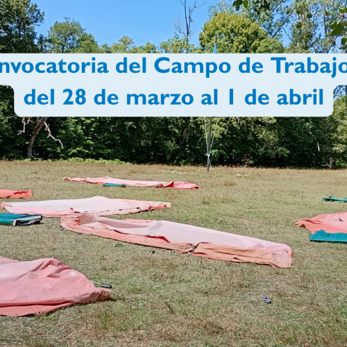 segundo campo de trabajo 2026