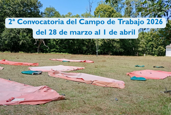 segundo campo de trabajo 2026